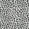 Leopard seamless pattern of animal skin in black and white