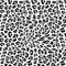 Leopard seamless pattern of animal skin in black and white