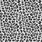 Leopard seamless pattern of animal skin in black and white