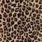 Leopard seamless pattern design . vector illustration background