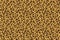 Leopard seamless print. Cheetah jaguar exotic animal skin pattern, luxury fashion wallpaper. Vector textile design
