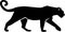 Leopard Silhouette gepard panther