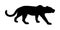 Leopard  silhouette isolated on white background. Wild cat in hunt lurking pray. Cougar or puma symbol. Silent predator.