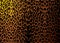 Leopard skin