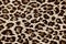 Leopard skin background