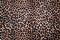 Leopard skin background