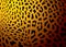Leopard skin gold