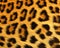 Leopard skin pattern texture repeating monochrome Texture animal prints background