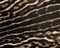 Leopard skin pattern texture repeating monochrome Texture animal prints background