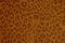 Leopard skin texture. Leopard spots background