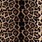 Leopard skin texture seamless pattern colored