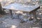 Leopard sleep under the chair at safari park