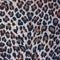 Leopard spots background