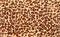 Leopard spots background