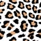 Leopard spots pattern design