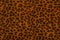 Leopard spotted fur