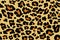 Leopard spotted fur texture. Vector repeating seamless orange black