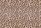 Leopard spotted fur texture. Vector repeating seamless pattern cheetah brown orange black