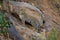 Leopard stands on sloping rock looking back