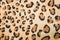 Leopard texture