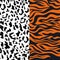 Leopard  and tiger pattern print animal vector skin.seamless- funny drawing poster or t-shirt textile graphic wild design. Wallpap