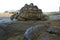 Leopard Tortoise Sunning on Some Rocks