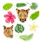 Leopard, tropical leaves, plumeria, exotic flower, hibiscus set