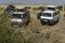 Leopard walking in front of the tourist car in Masai Mara