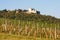 Leopoldsberg seen from wine yard, Vienna