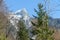 Leopoldsteinersee - A close up view on the glacier in Austrian Alps. The view is disturbed by some tree. Sharp and steep