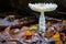 Lepiota clypeolaria mushroom among the variegated leaves in a forest