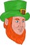 Leprechaun Head Three Quarter View Drawing