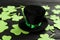 Leprechaun`s hat and decorative clover leaves on black wooden background. St. Patrick`s day celebration