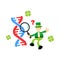 Leprechaun shamrock celtic research genetic heredity double helix structure part cartoon doodle flat design vector illustrat