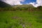 Les Agudes peack view from field of flowers in spring.