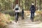 Lesbian couple and daughter cycling in a forest, back view