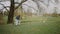 Lesbian LGBT couple running and playing with french bulldog in park