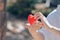 Lesbian lovers holding heart symbols to show love for each other on the bright morning of Valentine`s Day. LGBT couples are Asian