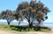 Leschenault Estuary Bunbury West Aust