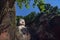 Leshan Buddha near Chengdu, China