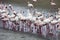 Lesser flamingo colony and Rosa Flamingo in Walvisbaai, Namibia