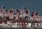 Lesser Flamingos at Lake Bogoria with a juvenile in the flock, Kenya