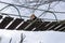 Lesser Panda relaxing himself on a suspension bridge.