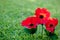 Lest We Forget - Anzac - Rememberance