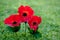 Lest We Forget - Anzac - Rememberance