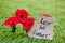 Lest We Forget - Anzac - Rememberance