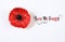 Lest We Forget, Red Flanders Poppy Lapel Pin Badge on white