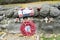 Lest we forget - Remembrance poppies and wreath symbol of the first World War WOI at old trenches near Ypres Belgium