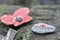 Lest we forget - Remembrance poppy and stone symbol of the first World War WOI at old trenches near Ypres Belgium