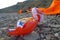 LESVOS, GREECE OCTOBER 24, 2015: Lifejackets, rubber rings an pieces of the rubber dinghys discarded on a beach near Molyvos.